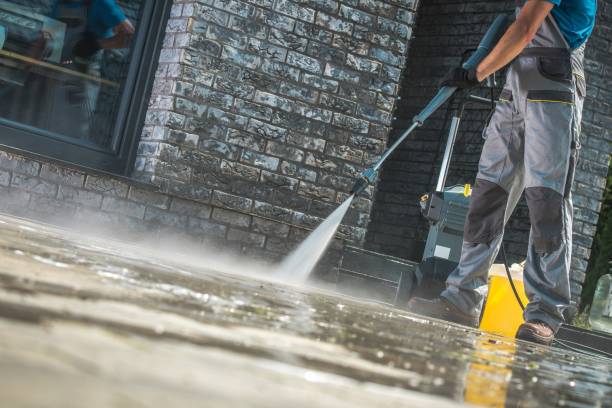 Best Soft Washing  in Wimauma, FL