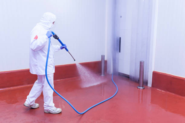 Best Oil Spill Cleanup  in Wimauma, FL